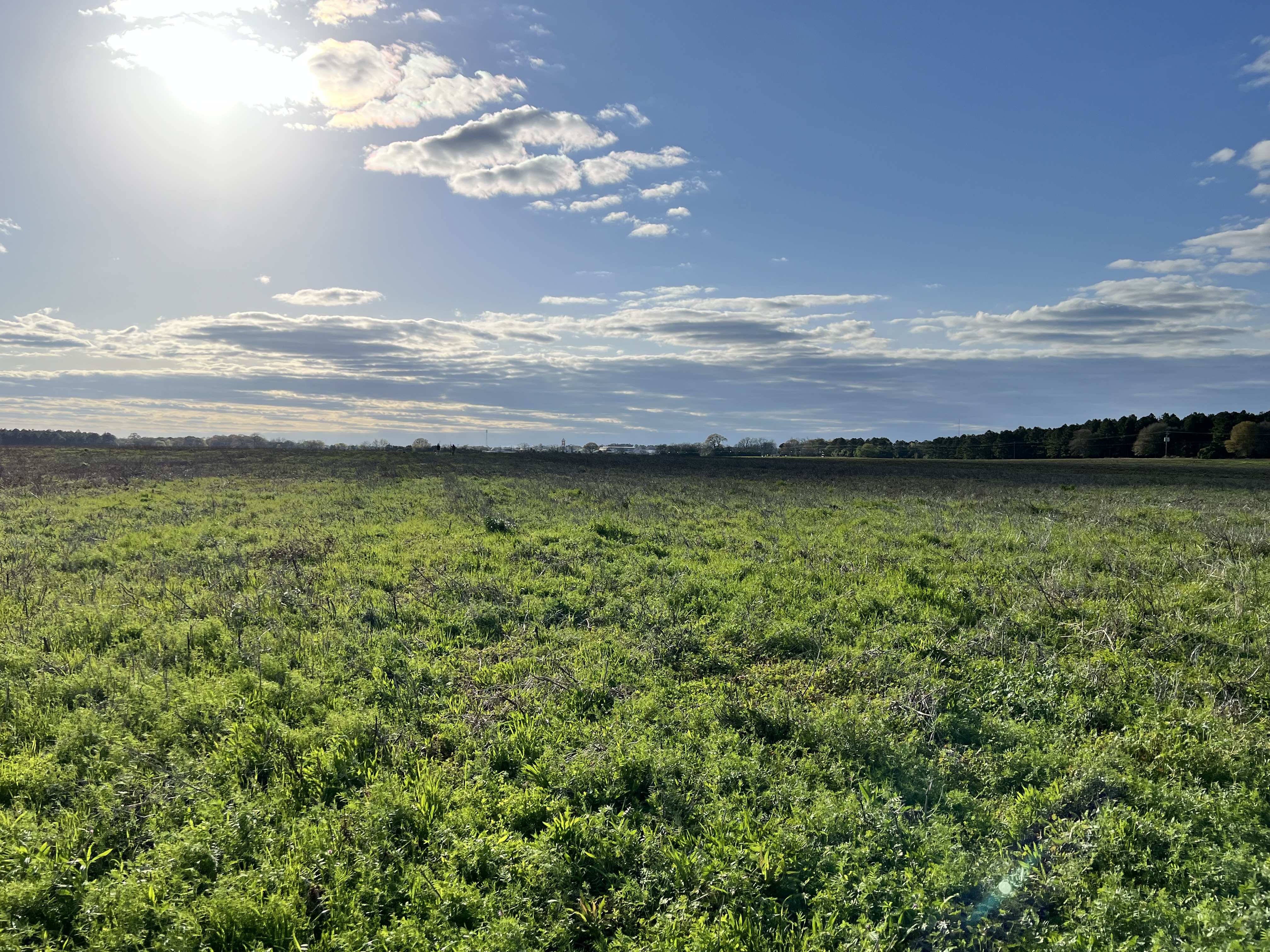 Fieldwork in Perry GA 2